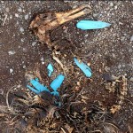 The quantity of plastic produced in the first 10 years of this century is likely to approach the quantity produced in the entire century that preceded it