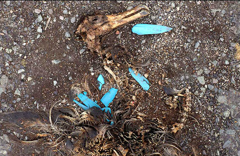 The quantity of plastic produced in the first 10 years of this century is likely to approach the quantity produced in the entire century that preceded it
