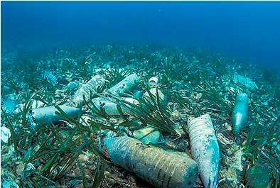 Plastic oceans could be a bigger threat than global warming